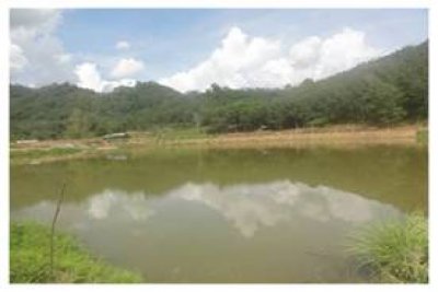 รูปภาพ ดำเนินการแล้วเสร็จ
